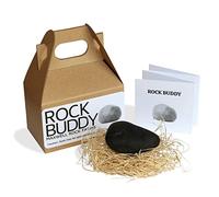 Rock Buddy with Full Training Manual and Bedding Multicolored