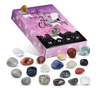 Rock Collection Advent Calendar 2025, Advent Calendar for Kids with 24 Gemstones, Minerals & Fossils, Geology Stone Gemstone Learning Collection Kit Birthday Xmas Gift for Kid Teen Adult