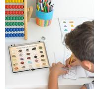 Rock Collection - Natural Rocks & Minerals Education Set | Educational Eplexion Kit, Mixed Rock Gem Collection Co-bin Box for Learning Classroom