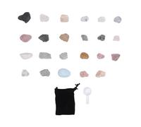 Rock Collection Starter Kit, 23Pcs Xmas Rock Collection Blind Box Nature Delicate Rock and Mineral Collection Stone Specimen Xmas Gift