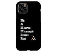 Rock Collector Geologist Tools Hound Hammer Science Case for iPhone 11 Pro