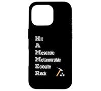 Rock Collector Geologist Tools Hound Hammer Science Case for iPhone 16 Pro
