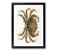 Rock Crab by J.E. De Kay Framed Print | A2 Black Framed Wall Art | Ready to Hang | Modern Animal Picture | Living Room Bedroom Lounge Office