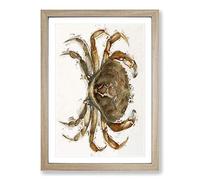 Rock Crab by J.E. De Kay Framed Print | A2 Oak Framed Wall Art | Ready to Hang | Modern Animal Picture | Living Room Bedroom Lounge Office