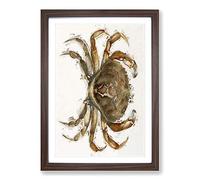 Rock Crab by J.E. De Kay Framed Print | A2 Walnut Framed Wall Art | Ready to Hang | Modern Animal Picture | Living Room Bedroom Lounge Office