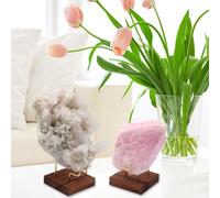 Rock Display Stand - Brass Frame Holder Stand | Holder with Wooden Base, Small, Fossil, Coral, Rock, Mineral You Don't Have to Worry This Can Keep Your Collection In The