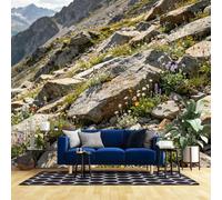 Rock Flower Landscape Photo Wallpaper 3D Wall Mural for Living Room 371Cmx280Cm(Wxh) Non-Woven Wallpaper Modern Art Panoramic Wall Tapestry Home Decor-Not Peel N' Stick Rock Flower 371Cmx280Cm(Wxh)