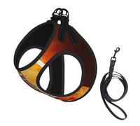 Rock Guitar In Burning,Pet Harness,Adjustable Reflective Dog Harness,Pet Leash Vest,M