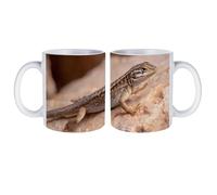 Rock Lizard White Coffee Mugs Gloss Ceramic Cappuccino Cups with Handle