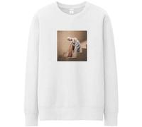 Rock Off officially licensed products Ariana Grande Staircase Sweatshirt