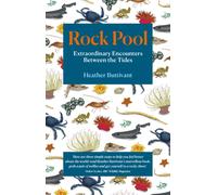 Rock Pool : Extraordinary Encounters Between the Tides
