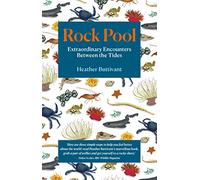 Rock Pool: Extraordinary Encounters Between the Tides