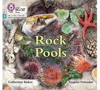 Rock Pools : Phase 3 Set 1