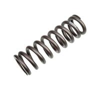 Rockshox Shock Spring 450lb
