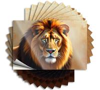 Rock Stickers Aesthetic Decals, Decorations for Room Cute Pattern Design for Mom Notebook | Door Removable Vinyl A Majestic Lion with Golden Eyes(6X9CM)