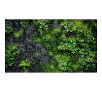 Rock Wall Texture Aquarium Background Green Moss on Black Rock Wall Fish Tank Background Nature Green Moss Fern Reptile Tank Background Rock Texture Reptile Habitat Terrarium Background 24x16in