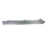 Rocker Panel Einsteigblech Left Fits: Volvo S40,V40 07.95-06.04