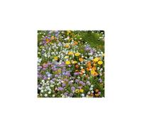 Rockery Mix, Scatter Seeds - Drought-Tolerant Seeds.