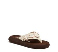 Rocket Dog Women's Sunset Comfort Foam Flip Flop Sandal, Blooms Off White, 5.5 UK
