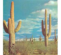 Rocket From The Crypt - The State Of Art Is On Fire