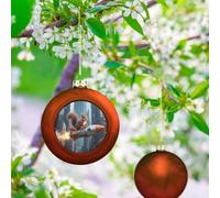 Rocket Squirrel Christmas Ball Ornaments - 3 Inch Shatterproof Christmas Tree Decorations, Red Xmas Hanging Balls for Tree Decor, Holiday Wedding Party Decorative Pendants