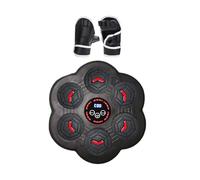 rockible Advanced Boxing Training System with Adjustable Sandbag Target, 6 hole double light