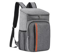 rockible Insulated Backpack Accessories Outdoor Picnic Bag for Men Women Office, Gray
