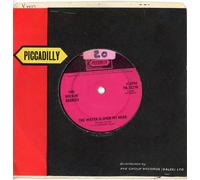 ROCKIN BERRIES - WATER IS OVER MY HEAD - 7 inch vinyl / 45