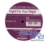 Rockin' Dolphins - FIGHT FOR YOUR RIGHT TO PARTY (2005 FUNKY REMIX)