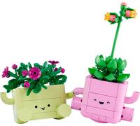 Rocking Plants
