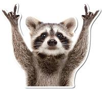 Rocking Raccoon Sticker, Funny Raccoon Cute Car Decal 5.5-Inches Decal Car Laptop Wall Window Bumper Sticker AWPS109