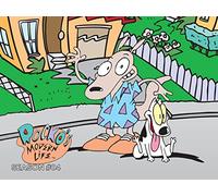 Rocko's Modern Life - Season 4