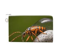 Rocks and Bugs Coin Purse Canvas Wallet Cute Change Purse Small Storage Bag with Zipper