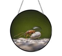 Rocks and Bugs Stained Glass Window Hanging Sign Suncatcher