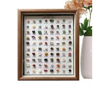 Rocks and Minerals Identification Kit, 80 x Mineral Samples, Stone Collection, Versatile Home Decoration for Collectors, Classic Rough Crystal in Wooden Frame for Men