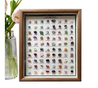 Rocks and Minerals - Natural Specimen Collection, Rough Crystal Set, Stone Identification Kit, Wooden Display Frame | Educational Home Decoration for Kids, Students, Learning, Science, Classroom