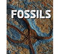 Rocks: Fossils