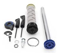 Rockshox Crown Rl 80-120 Mm Recon Rl B1+ 2017-2021/recon Rl A1+ 2018-2021 Cartridge One Size Multicolor