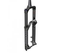RockShox Domain RC Forks