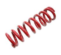 Rockshox Metric Coil 174 mm 67.5-75 mm 225 lb Shock Absorber Spring One Size