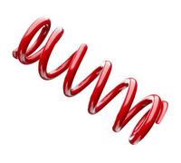 Rockshox Metric Rear 174x67.5-75 Mm Shock Absorber Spring Red 250 lbs