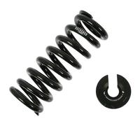 Rockshox Vivid Kage Coil 216-222x70 Mm Shock Absorber Spring Black 500 lbs