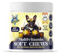 Rockstar Pet Supplements Multivitamin Soft Chews for Dogs | Beef Flavour | Daily Hip & Joint, Skin & Coat, Gut Health Support with Glucosamine, Probiotics, Vitamins & Omega-3 | All-in-One Supplement.