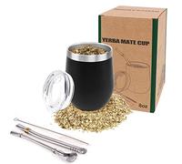 ROCKY&CHAO 8Oz Yerba Mate Gourd Set - Stainless Steel Modern Mate Cup with 2 Bombilla Straws, Cleaning Brush, BPA-Free Lid - Double-Walled for Hot & Cold Drinks, Ideal for Tea and Coffee