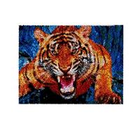 ROCKY&CHAO Latch Hook Kit for Adults & Kids Complete DIY Rug Making Craft Kits with Yarn & Canvas and Crochet Needle, Adult Craft Kits for Women, Relaxing Home Art Project - Tiger 50x38cm