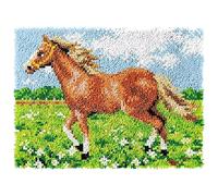 ROCKY&CHAO Latch Hook Kit for Adults & Kids Complete DIY Rug Making Craft Kits with Yarn & Canvas and Crochet Needle, Adult Craft Kits for Women, Relaxing Home Art Project - Brown Horse 60x40cm