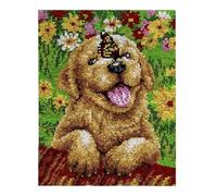 ROCKY&CHAO Latch Hook Kit for Adults & Kids Complete DIY Rug Making Craft Kits with Yarn & Canvas and Crochet Needle, Adult Craft Kits for Women Relaxing Home Art Project - Butterfly 50x38CM
