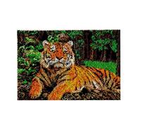 ROCKY&CHAO Latch Hook Kit for Adults & Kids Complete DIY Rug Making Craft Kits with Yarn & Canvas and Crochet Needle, Adult Craft Kits for Women, Relaxing Home Art Project - A Resting Tiger 50x38cm