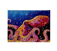 ROCKY&CHAO Myriad Choices Latch Hook Kits, DIY Latch Hook Rug Kit, Cross Stitch Rug Making Kit, Carpet Making Crochet Kits Embroidery Kits Needlework Crafts for Home Decor, 50X38CM, Octopus