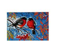 ROCKY&CHAO Myriad Choices Latch Hook Rug Making Kit for Adults - DIY Cross Stitch & Crochet Carpet Making Kit - Embroidery Needlework Crafts for Home Decor - 50x38cm - A Pair of Birds